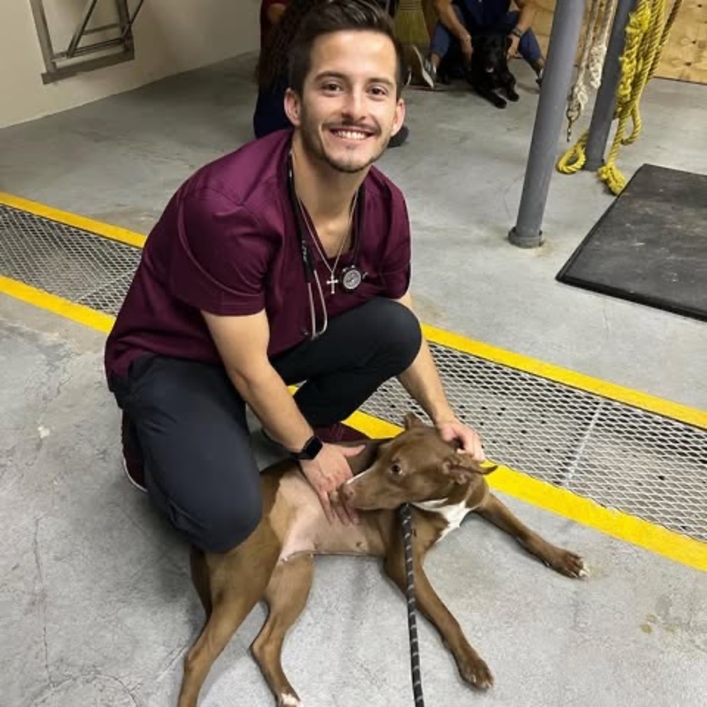 Meet your Posher, Patrick